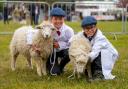 Everything you need to know about the Suffolk Show 2024