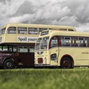 Some buses on display will date back to the 1930s