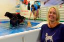 Candy Rose of Suffolk Canine Creche in Martlesham who has installed a pool for the dogs.
