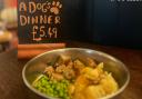 The Swan has started serving dinners for dogs