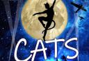 The Lowestoft Players are reimagining Cats the Musical