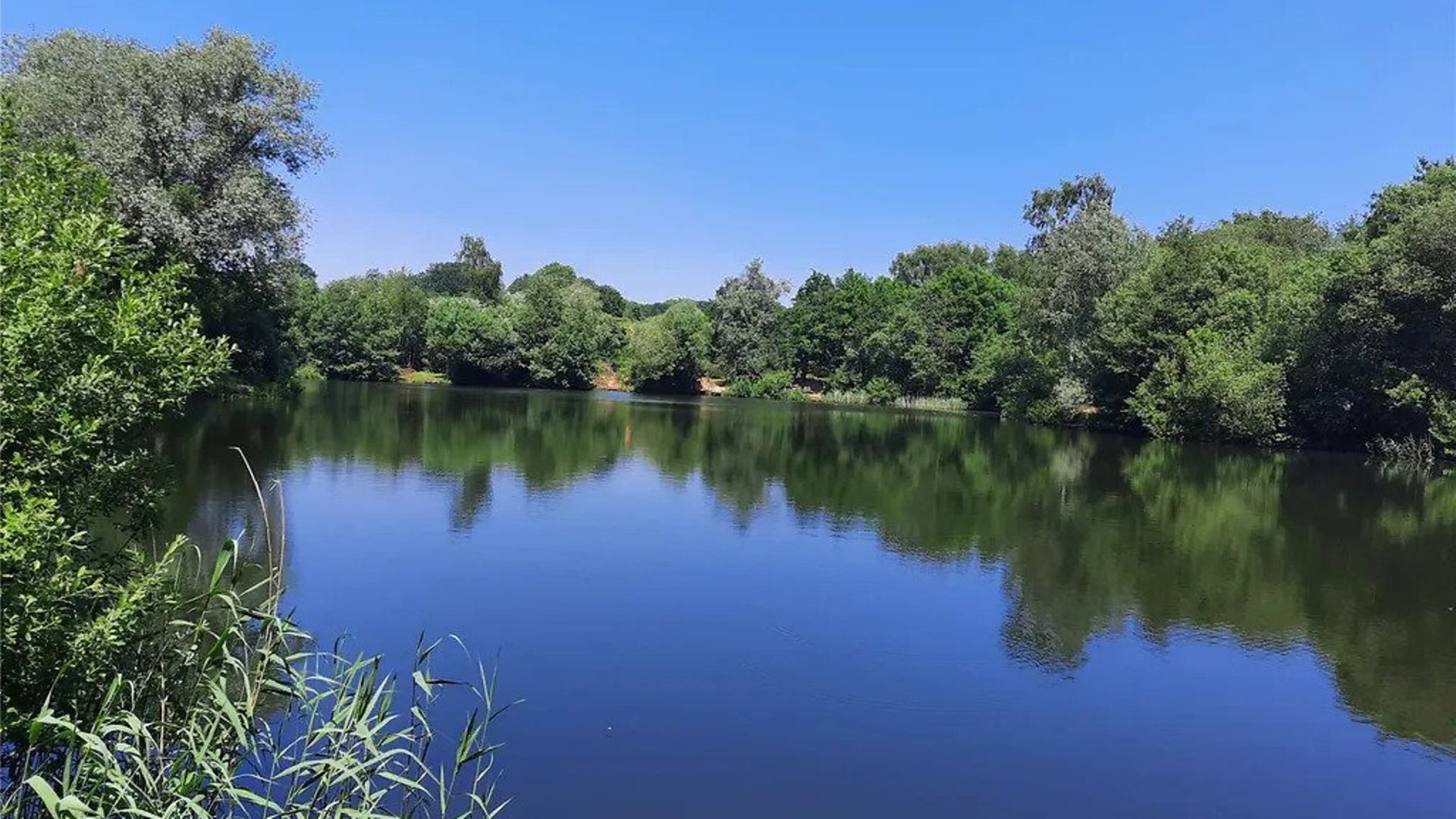 Popular dog walking spot and fishing lake for sale