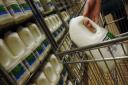 Milk on a supermarket shelf. Photo: Antony Kelly