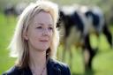 Defra minister Elizabeth Truss during a visit to a dairy farm in Shipdham. Picture: Matthew Usher.
