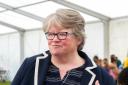 Suffolk Coastal MP Therese Coffey is focusing on dentists, potholes and banks this week
