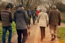 A brisk walk is a great way to improve energy levels