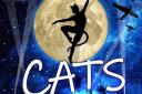 The Lowestoft Players are reimagining Cats the Musical
