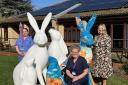 Suffolk will be overrun by hares in summer 2025 as the St Elizabeth Hospice Art Trail has been announced