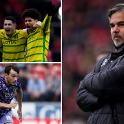 Get the lowdown on Norwich City ahead of their clash with Ipswich Town in the Championship