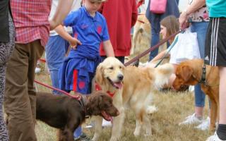 Suffolk Dog Day has announced it's return for 2024