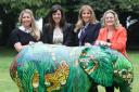 Picture: The Jungle Team - from Left:  Rachel Stevenson, Account Director, Daisy Simpson, Senior Account Executive, Katie Murphy, Account Manager & Kate Morfoot, Managing Director.