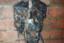 The outdoor plug socket caught fire at a home in Colchester