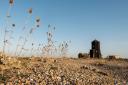 National Trust's Orford Ness was completely sold out over the past season