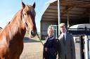 The future of the Suffolk Punch could be looking brighter thanks to new technology