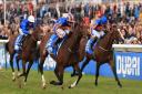 Horseracing in Newmarket is one of West Suffolk's key industries