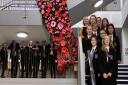 Students at Thomas Gainsborough School have created a poppy display for remembrance Picture: MARCELLE CLAXTON