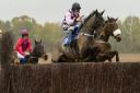 Undisputed and Alex Edwards, winners at Cottenham last time out, are back in action again. Picture: GRAHAM BISHOP PHOTOGRAPHY