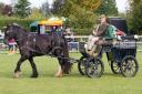 Alde Carriage Driving Credit: Countryside and Falconry Fair