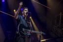 The George Ezra concert at Newmarket Nights.  Picture: MARTIN DUNNING/ON TRACK MEDIA