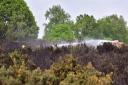 A previous heath land fire on Rushmere Heath Picture: SARAH LUCY BROWN