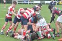 St Joseph's College, in red and white, on their way to victory over Wimbledon College in the RFU National Cup. Picture: LINDY RODWELL