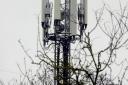 The mobile phone mast at Bird's Green, Rattlesden