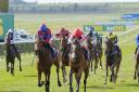 Racing goes at Newmarket on Saturday. Picture: CONTRIBUTED
