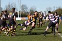 Ipswich Rugby Club could be on the move