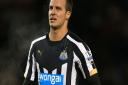Steven Taylor could make his Ipswich Town debut against Reading, at Portman Road, tomorrow.