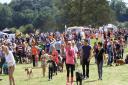 Essex Dog Day proved to be a big hit in 2013
