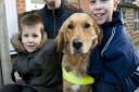 Emma Free's guide dog Jazz won Guide Dog of the Year at the Guide Dog Annual Awards after saving Mrs Free and her two sons Owen, left, aged 6, and Luke, aged 8, right, from being hit by a lorry.