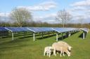 Suffolk Council believe prosposed solar farm in Great Blakeham is acceptable