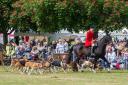 The Parade of Hounds is an unmissable part of the Suffolk Show. Image: Charlotte Bond