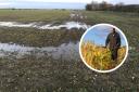 Glenn Buckingham and a waterlogged crop field