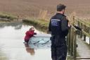 An elderly couple were submerged in water up to their necks.