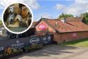 Dogs are now welcome at a mid Suffolk cafe