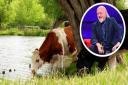 Bill Bailey's new show featuring Suffolk will air today
