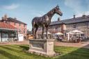 The National Horseracing Museum in Newmarket will open its doors to visitors and their canine companions on Saturday, March 30