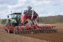 Pea drilling at Foxhall, Ipswich