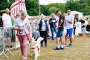 Suffolk Dog Day is to return on September 8