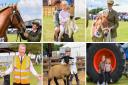 Here are our first 20 pictures from day one of the Suffolk Show.