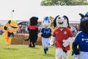 Drama ensues as mascots take to the ring at the Suffolk Show.