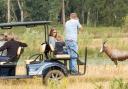 Visitors at Watatunga Wildlife Reserve can see rare animals on a self-drive buggy tour