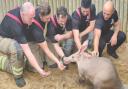 Lowestoft South firefighters with one of the aardvarks after the blaze