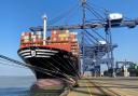 The record-breaking MSC Amelia at the Port of Felixstowe