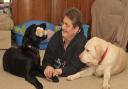 Penny Parker has looked after 14 guide dogs over the years