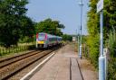 Greater Anglia has fitted cameras in its trains to help Network Rail identify trees and shrubs that could cause a problem by dropping leaves on the line.