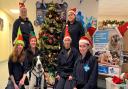 At Suffolk's Blue Cross animal rehoming centre, their team of staff and volunteers work extra hard to ensure that every animal under their care knows it's Christmas.