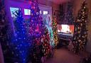 A family from Aldringham have an incredible 19 Christmas trees in their living room.