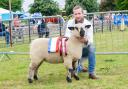 Harry Elsden with his Hampshire Down champion sheep at the Suffolk Show.